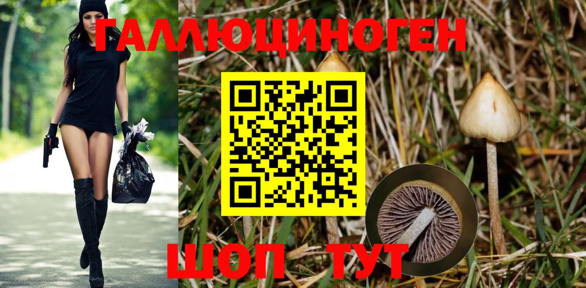 Галлюциногенные грибы GOLDEN TEACHER  Вход с VPN  Белебей 